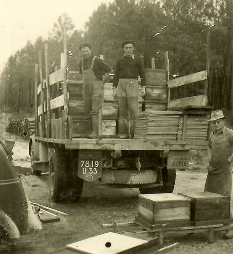 Une transhumance dans les années 50