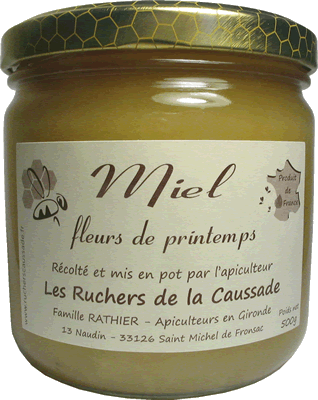 Miel fleurs de printemps